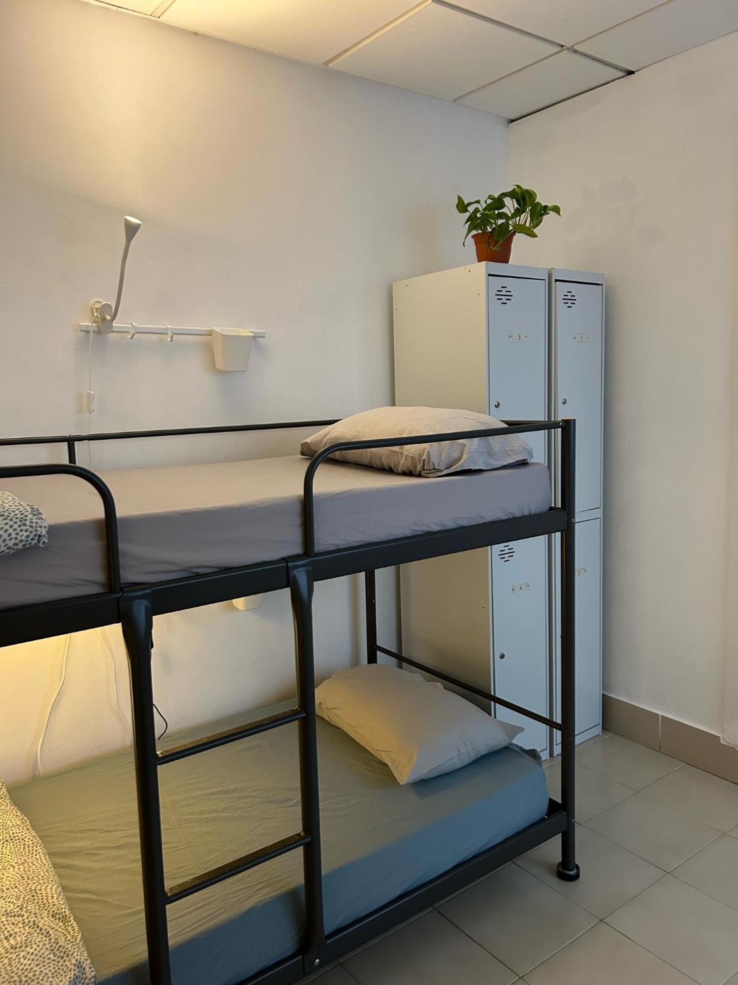 Nc Hostel ラスパルマス・デ・グランカナリア エクステリア 写真